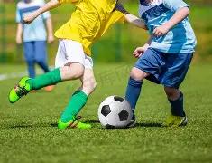 贝莱林膝伤,缺阵,错过法国对,宝威体育官网,BaoWei,Sports,足球直播,篮球赛事,体育高清,NBA直播