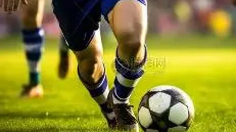 宝威体育 资讯 123943 j1c