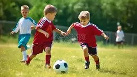 宝威体育 产品 090238 akh